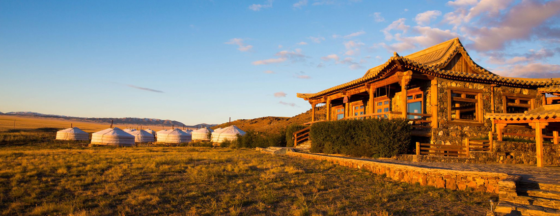 Говийн 3 тэмээ